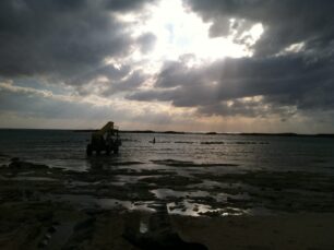 Reef Ball delivery Paradise Cove Reef Ball Image Gallery