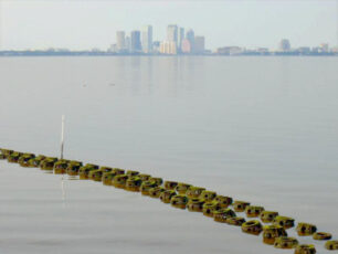 Tampa Bay, Florida