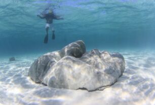 Lucayan Face by Andret John Reef Ball Image Gallery