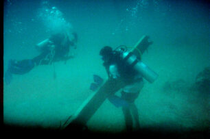 Collecting debris Reef Ball Image Gallery
