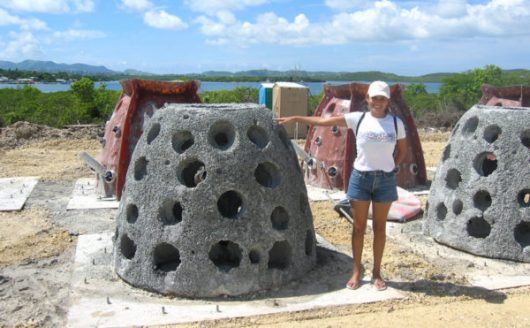Goliath Reef Ball module in Brazil