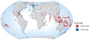 Map of the earth showing distribition of warm and cold water coral reefs around the world