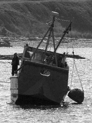 Cold Reef Ball Image Gallery