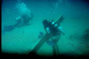 Collecting debris Reef Ball Image Gallery