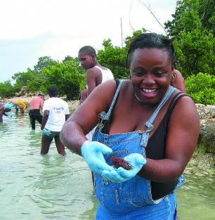 Optimists collect sea urchins Reef Ball Image Gallery