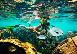 Lorna Reef Ball Image Gallery