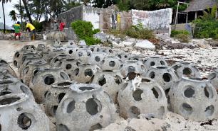 Reef Cat Reef Ball Image Gallery