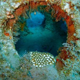 Montserrat Reef Ball Image Gallery