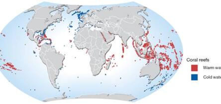 Map of the earth showing distribition of warm and cold water coral reefs around the world