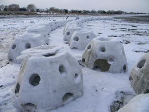 Winter Reef Balls - Placed to protect dunes. Winter Reef Balls Stamford, CT