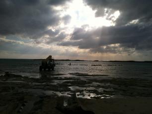 Reef Ball delivery Paradise Cove Reef Ball Image Gallery