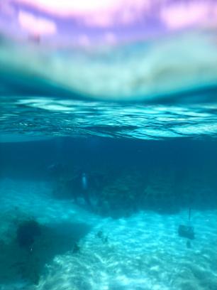 Providenciales 2017 - Coral transplanting