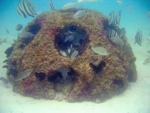 Cabo de la Vela in Guajira